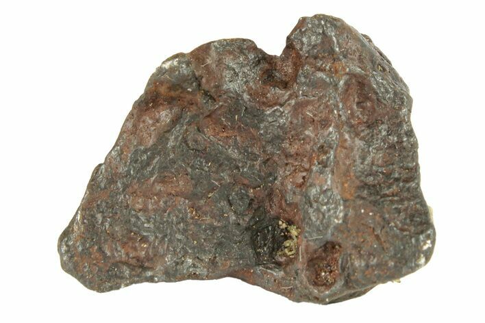 Canyon Diablo Iron Meteorite ( g) - Arizona #270808